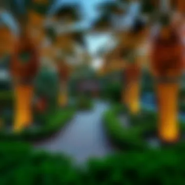Magnificent Comprehensive Exploration of Mushrif Park: A Green Oasis in Dubai Magnificent Comprehensive Exploration of Mushrif Park: A Green Oasis in Dubai