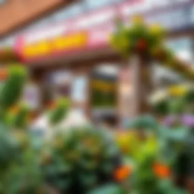 Notable Chubby Cheeks Nursery and Discovery Gardens: An In-Depth Review