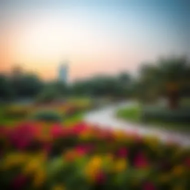 Notable Comprehensive Exploration of Mushrif Park: A Green Oasis in Dubai Notable Comprehensive Exploration of Mushrif Park: A Green Oasis in Dubai