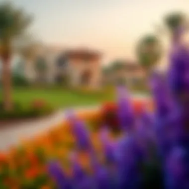 Beautifully landscaped gardens surrounding the Emirates Golf Club villas
