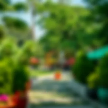 Lush Green Park in Jumeirah Lake Towers Lush green park in the heart of Jumeirah Lake Towers