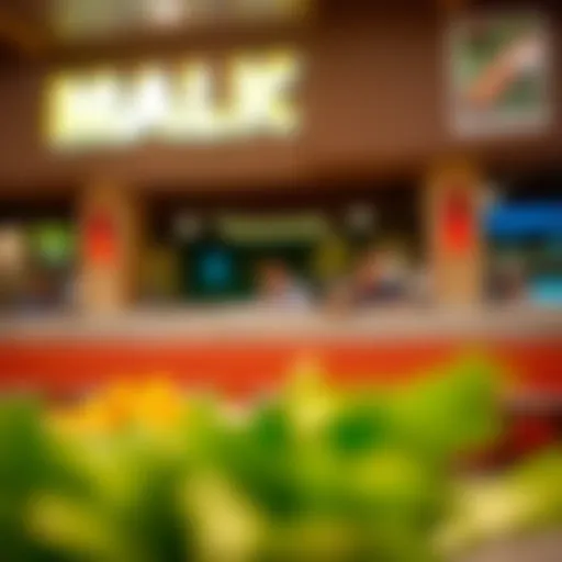 Exploring Malik Restaurant in Barsha: A Culinary Experience Introduction