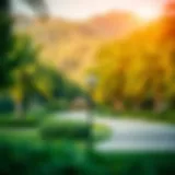 A tranquil view of Mushrif Park showcasing its lush greenery and open spaces.