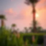Exploring Nature Escapes in Al Barari Introduction