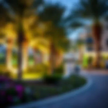 Vibrant Community Park Emphasizing Outdoor Lifestyle Vibrant community park in Sunset Residence