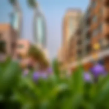 Notable Exploring the Essence of Greens: A Comprehensive Guide to Dubai's Neighborhoods Notable Exploring the Essence of Greens: A Comprehensive Guide to Dubai's Neighborhoods