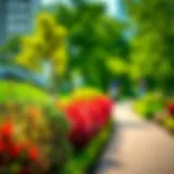 A vibrant urban green park with diverse plant life and walking paths