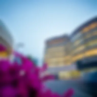 Insights into Cedars Jebel Ali International Hospital: A Comprehensive Overview Summary Insights into Cedars Jebel Ali International Hospital: A Comprehensive Overview Summary