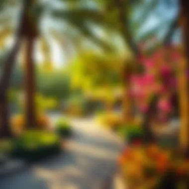 Nature in Dubai's Urban Environment A serene park in Dubai, illustrating the balance of nature and urban living.