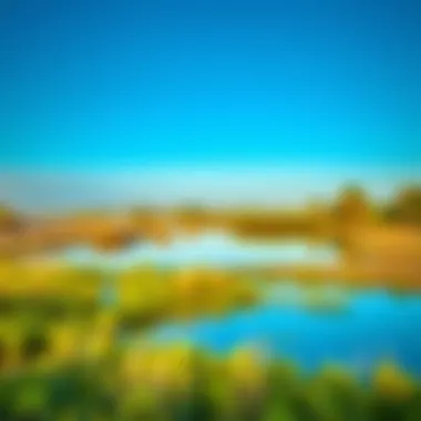 Serene Wetland Landscape at Ras Al Khor Scenic view of Ras Al Khor Wildlife Sanctuary showcasing wetland habitat